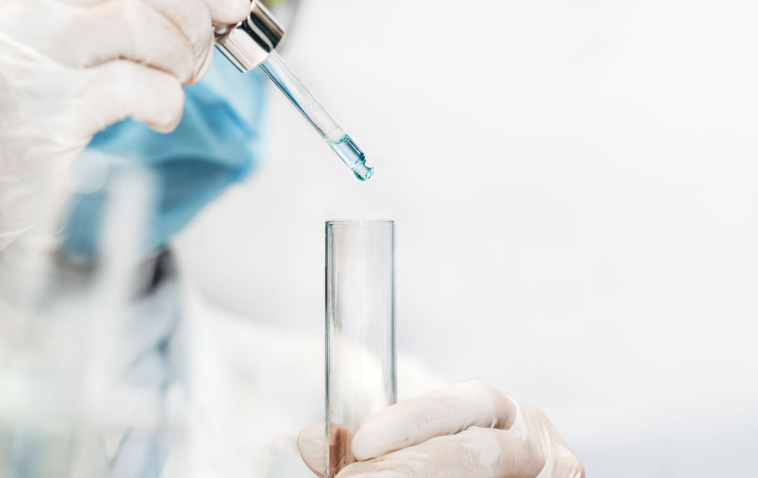 What Is Akkermansia muciniphila? – The Science Behind This Probiotic