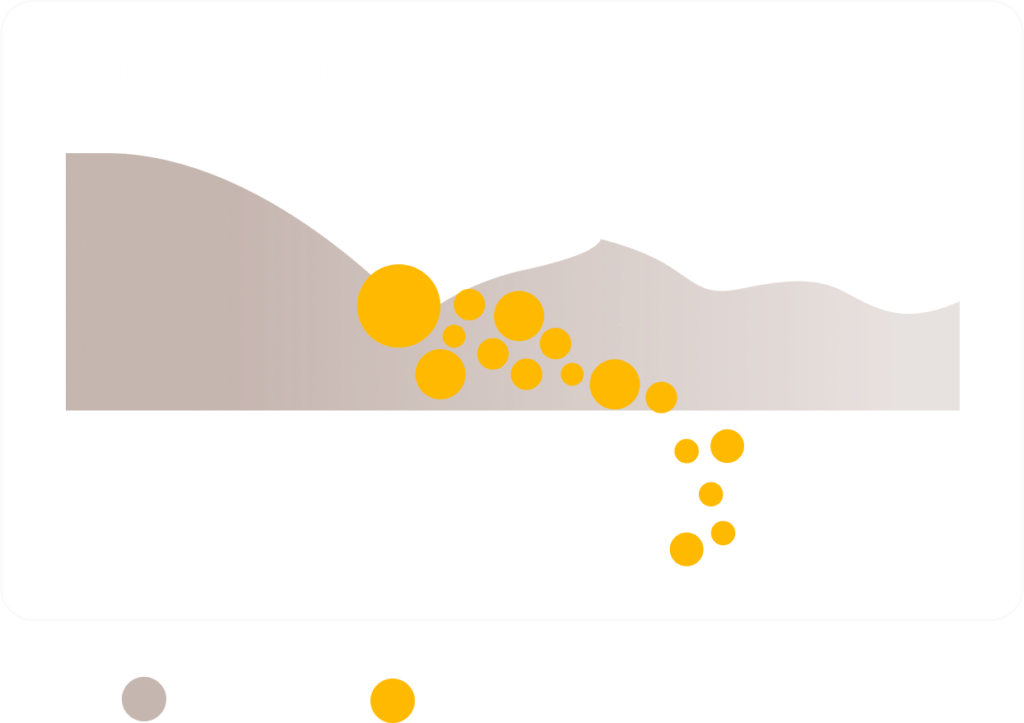 Akkermansia-altered-barrier-function