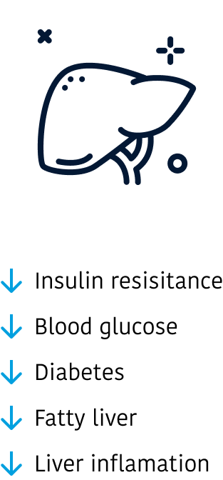 insulin-glucose-diabetes-liver