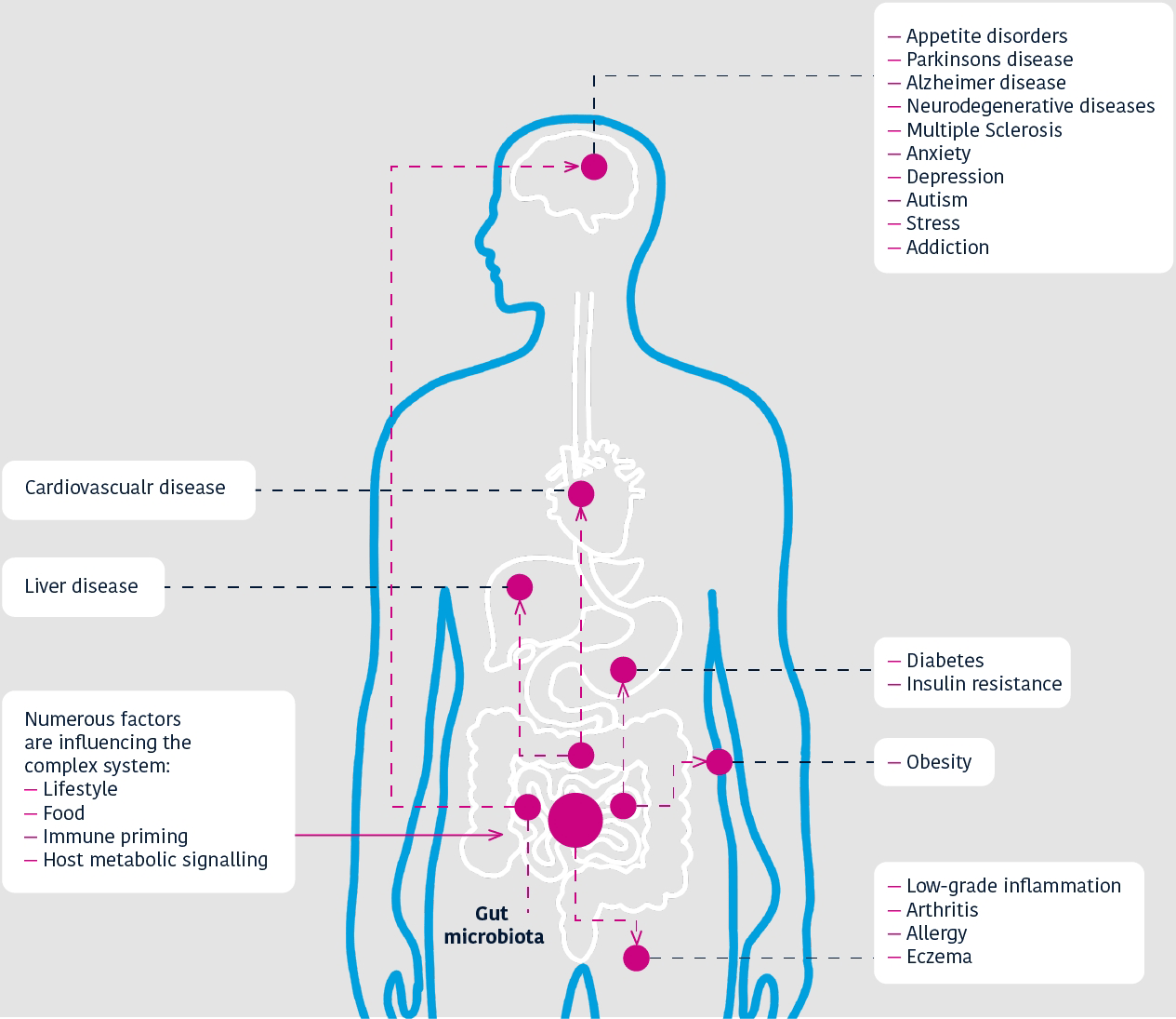 What-makes-up-the-gut-microbiome
