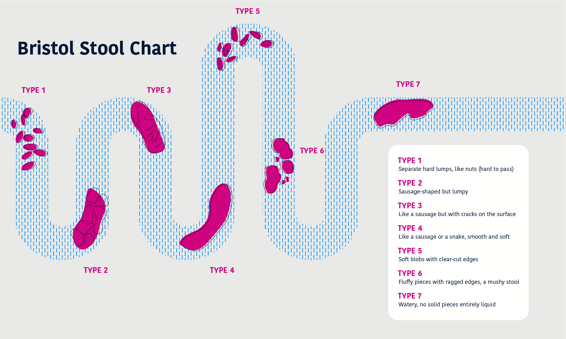 Akkermansia_Diagrams_Bristol_Stool_Chart